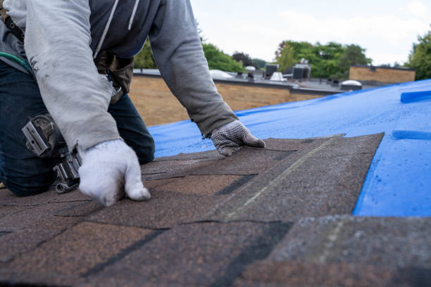 Best Metal Roofing Contractor  in White Oak, MS